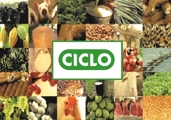 ciclo